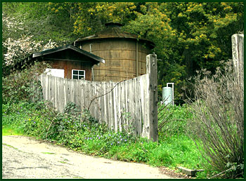 occidental1