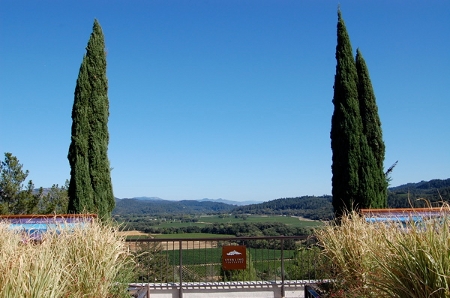 Glennia's view from the Sterling Vineyard, Napa Valley