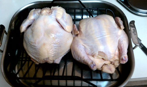 Roasting Chickens 1 Chickens