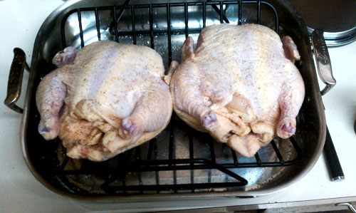 Roasting Chickens 2
