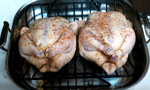 Roasting Chickens 3 Tied up chickens for roasting