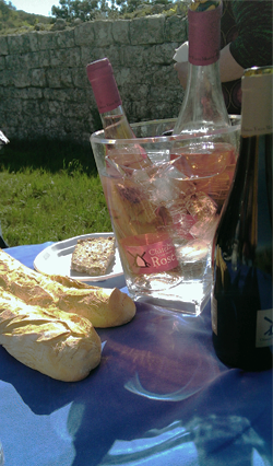 languedoc_rose1