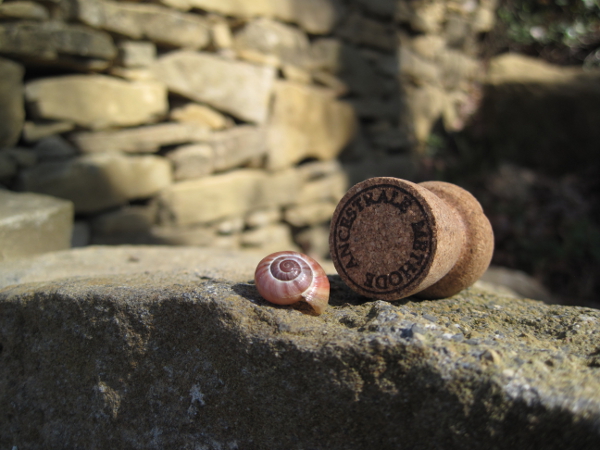 Methode Ancestral cork and snail shell from Limoux AOC
