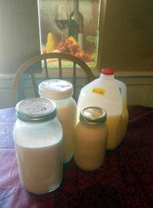 Raw milk Kefir and Whey