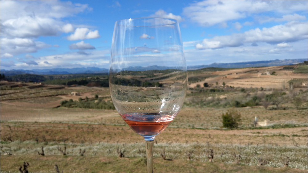 Glass of Rose with Horizon