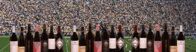 Wine Bottles in football stadium